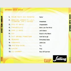 Spring Hits 2003 (2003)