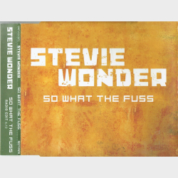 Stevie Wonder - So What The Fuss (2005)