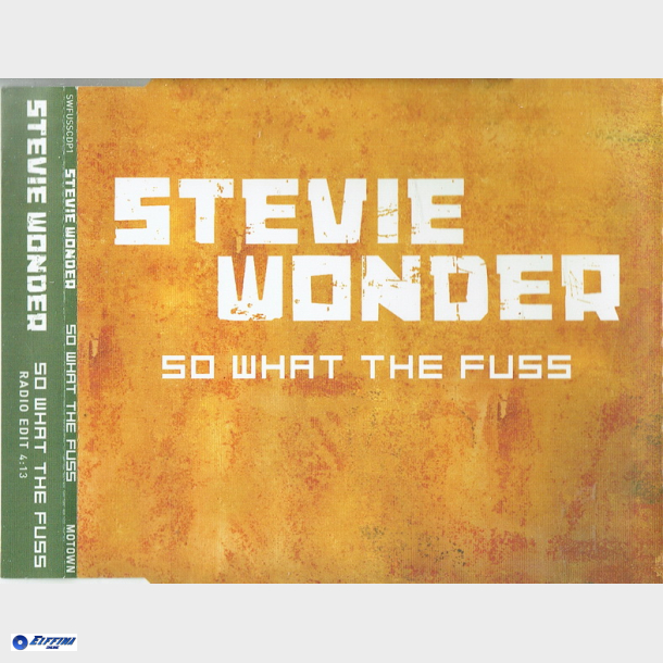 Stevie Wonder - So What The Fuss (2005)