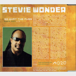 Stevie Wonder - So What The Fuss (2005)