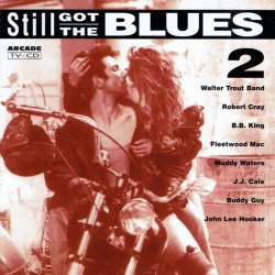 Still Got The Blues 2 (1995)