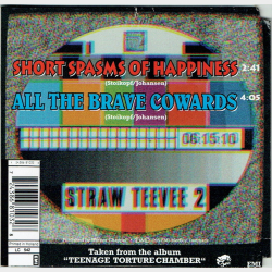 Strawberry Slaughterhouse - Short Spasms Of Happiness (1994)