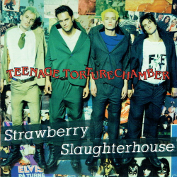 Strawberry Slaughterhouse - Teenage Torturechamber (1994)