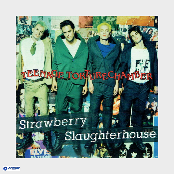 Strawberry Slaughterhouse - Teenage Torturechamber (1994)