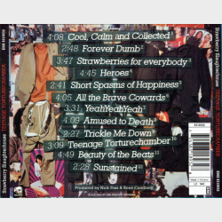 Strawberry Slaughterhouse - Teenage Torturechamber (1994)