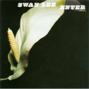 Swan Lee - Enter (2001)