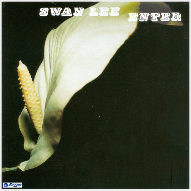 Swan Lee - Enter (2001)