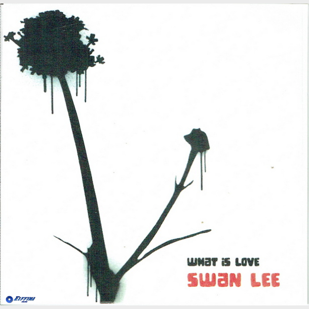 Swan Lee - What Is Love (2005) (Promo)