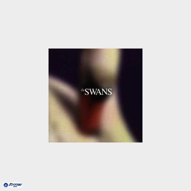 Swans - Photographs &amp; Letters (1999)