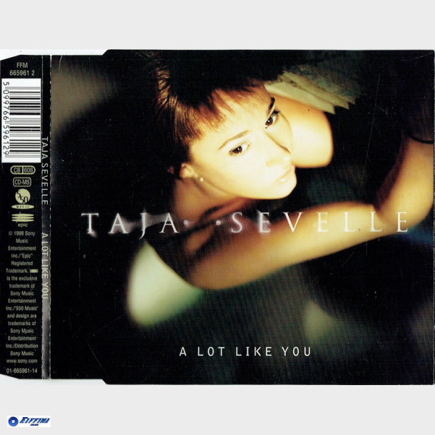 Taja Sevelle - A Lot Like You (1998)