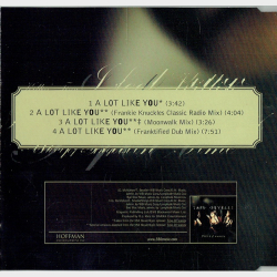 Taja Sevelle - A Lot Like You (1998)
