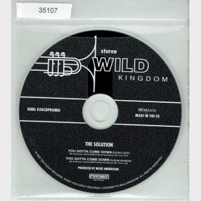 Solution - You Gotta Come Down (2007) (Promo)