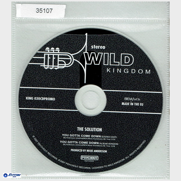 Solution - You Gotta Come Down (2007) (Promo)