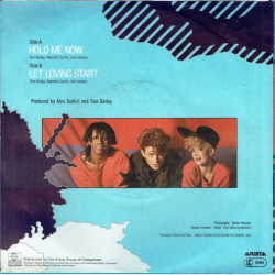 Thompson Twins - Hold Me Now (1983)