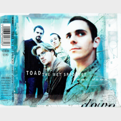 Toad The Wet Sprocket - Come Down (1997)