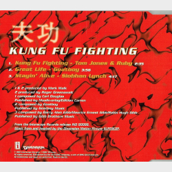 Tom Jones - Kung Fu Fighting (1997)