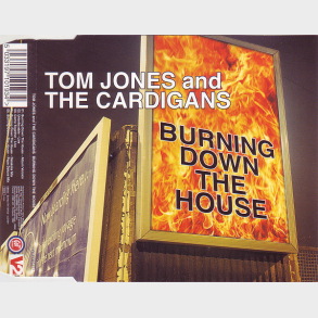 Tom Jones & The Cardigans - Burning Down The House (1999)