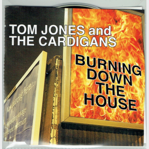 Tom Jones & The Cardigans - Burning Down the House (1999)