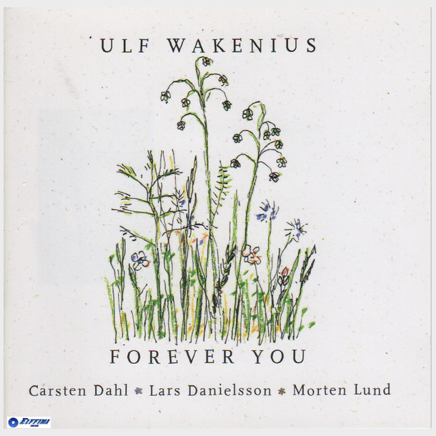 Ulf Wakenius - Forever You (2003)