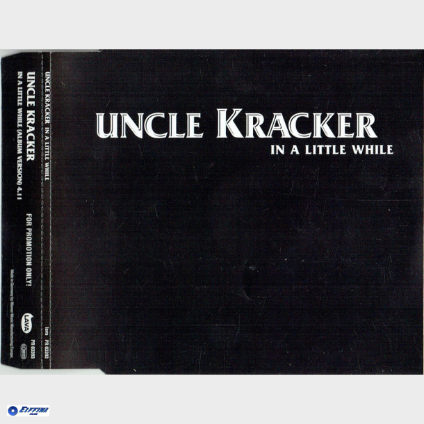 Uncle Kracker - In A Little While (2002) (Promo)