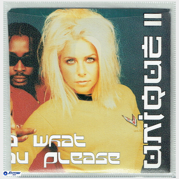 Unique II - Do What You Please (1996)