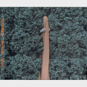 Vagrond - Ruin (2018) (Digi)