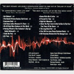 We Banjo 3 - Live In Galway (2015) (Digi)