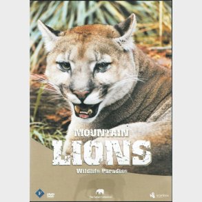 Wildlife Paradise - Lions