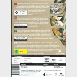 Wildlife Paradise - Lions