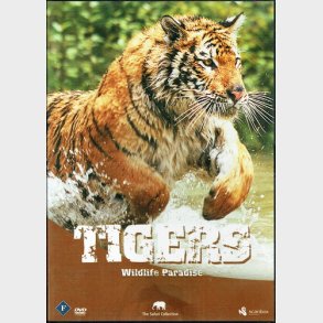 Wildlife Paradise - Tigers