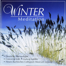 Winter Meditation 2 (2001)