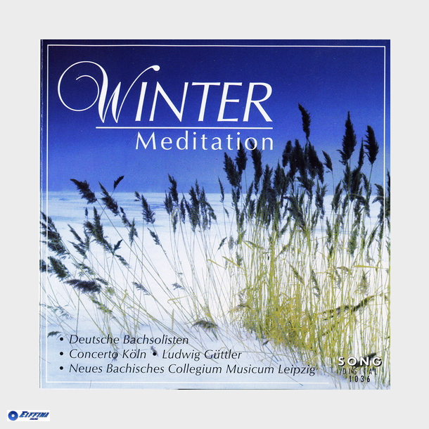 Winter Meditation 2 (2001)