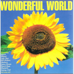 Wonderful World (1994)