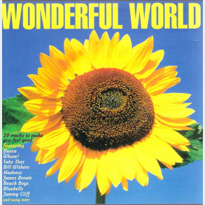 Wonderful World (1994)