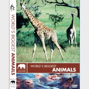 Safari - World's Biggest Animals (2004)