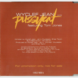 Wyclef Jean ft. Tom Jones - Pussycat (2002) (Promo)