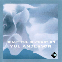 Yul Anderson - Beautiful Distraction