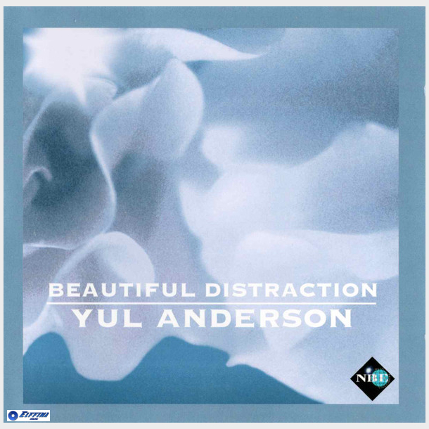 Yul Anderson - Beautiful Distraction