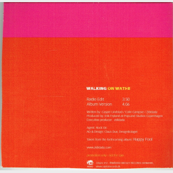 Zididada - Walking On Water (2002) (Promo)